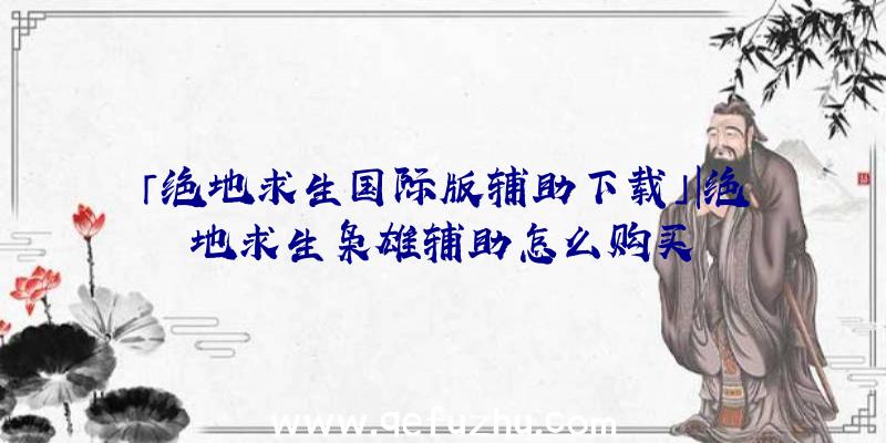 「绝地求生国际版辅助下载」|绝地求生枭雄辅助怎么购买